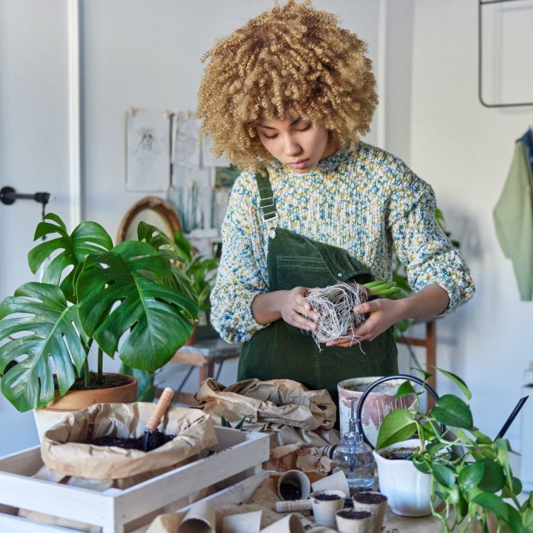 Time To Start Over – Rip Up The Garden, Pull The Weeds And Plant Some Seeds