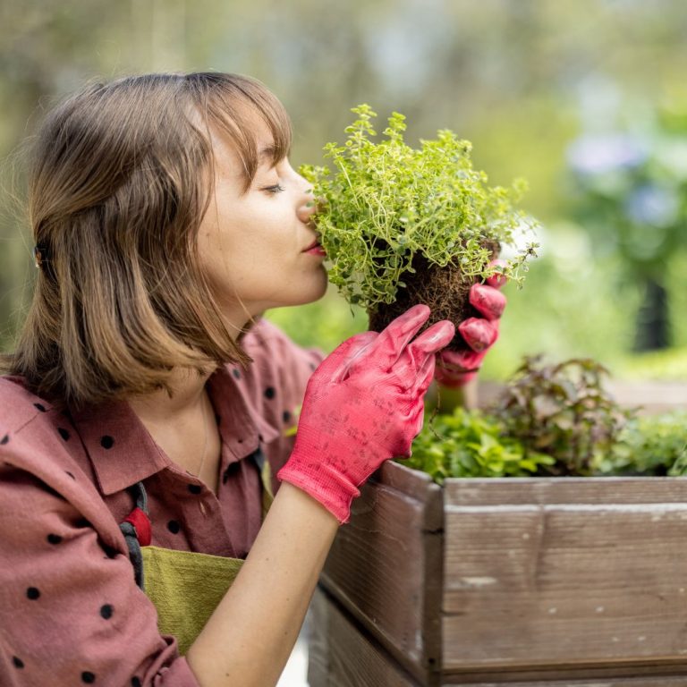 Impacting The World Around You – Watch With Joy As Your Garden Blooms