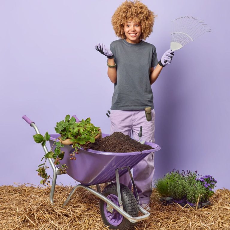 Jackie Johnson – Nurturing Self-Care In The Garden Of Your Life